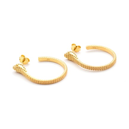 Earrings "Snake Curve" - Studs